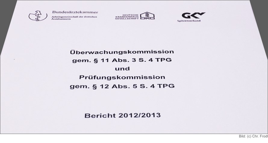 Bericht 2012/2013 Überwachungskommission und Prüfungskommission TPG